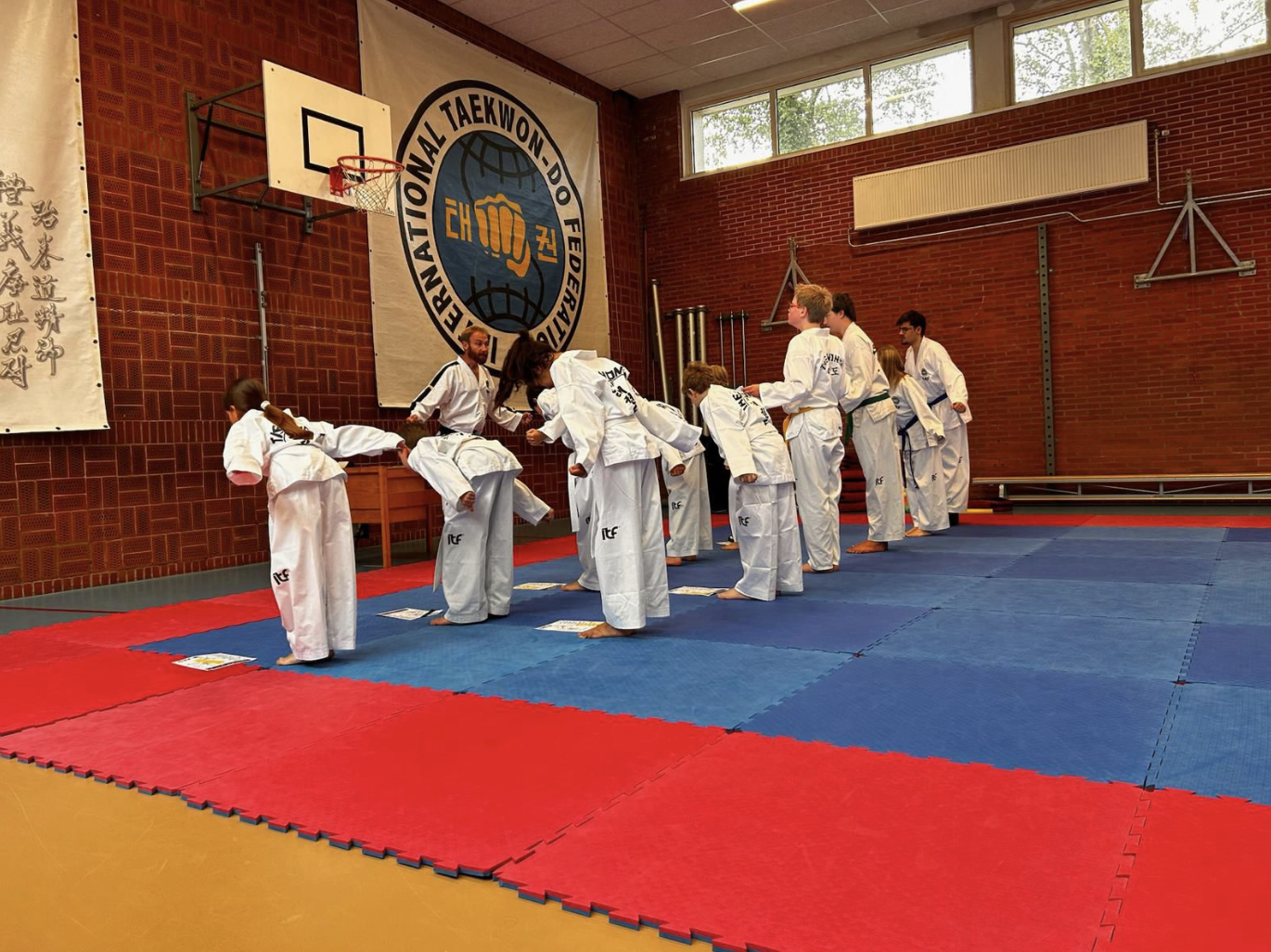 Auti Taekwon-Do 1